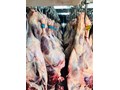 خرید گوشت قرمز و سفید در تناژ بالا