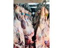 خرید گوشت قرمز و سفید در تناژ بالا